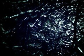 开云平台-伤病名单引发球队紧急调整，球员伤病图