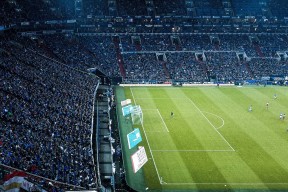 英国女泳队自由泳划频节奏精准，英国男子自由泳选手