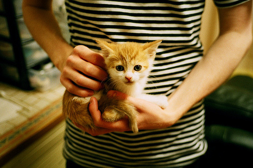 电竞高校联赛选手登上职业舞台实现梦想，电竞高校联盟赛事的意义