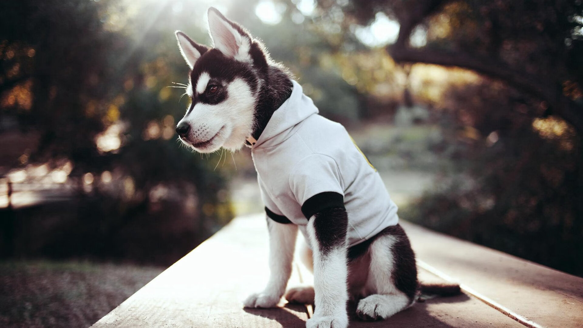 中超赛季球员成长报告上线展示数据驱动成果，中超球员时间