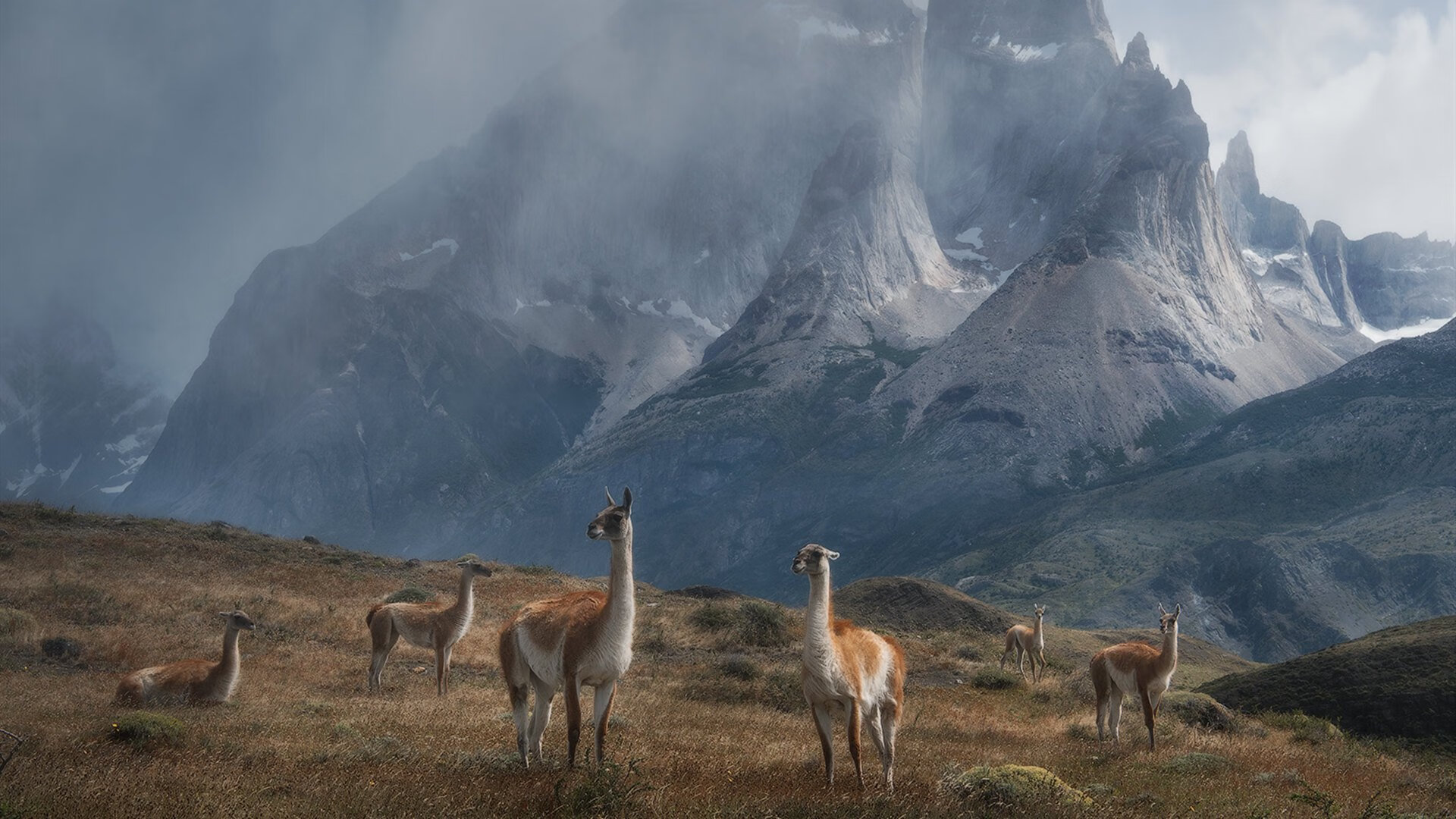 凯尔特人球员日常饮食计划曝光，凯尔特人现役当家球星