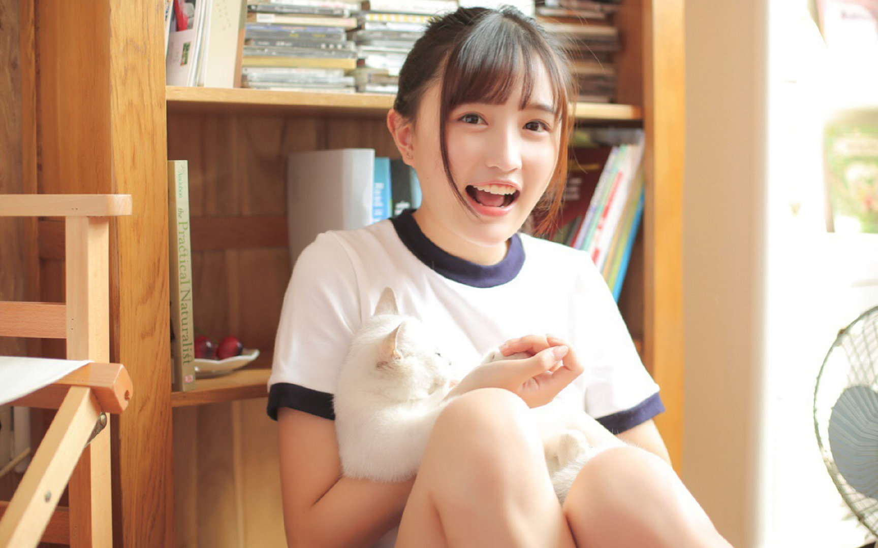 史密斯泳池内外双重突破，史密斯顶侧双吸效果怎么样