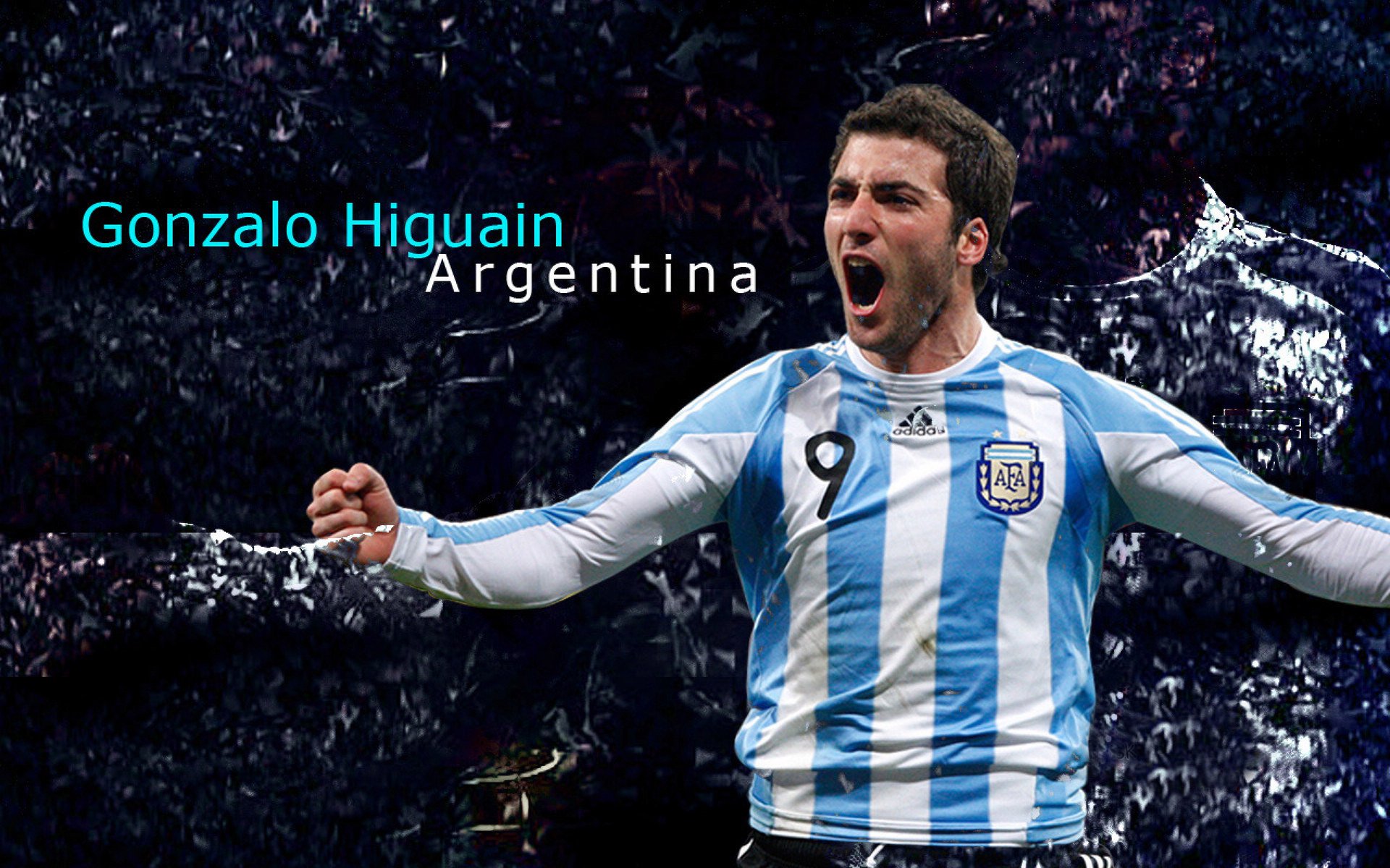 自由泳接力突尼斯团队协作顺畅，400米自由泳突尼斯